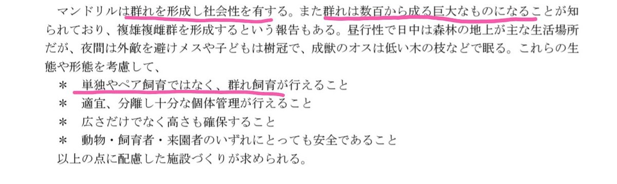 Mandriller M tweet media