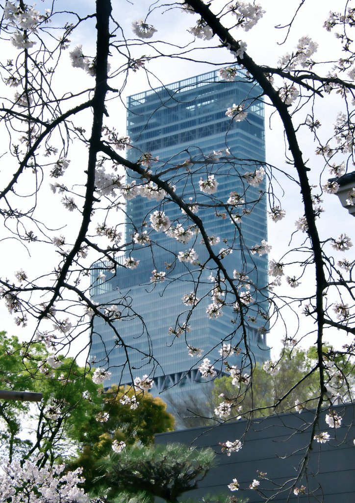 一寸帽子 tweet media