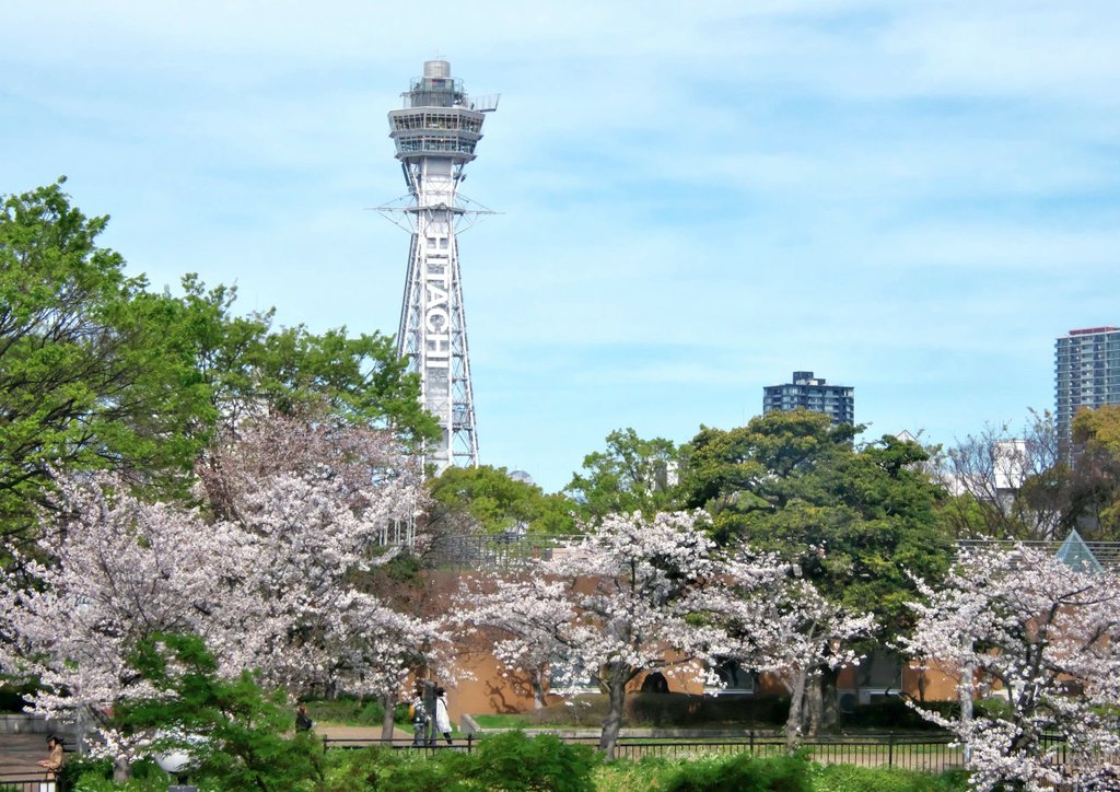 一寸帽子 tweet media