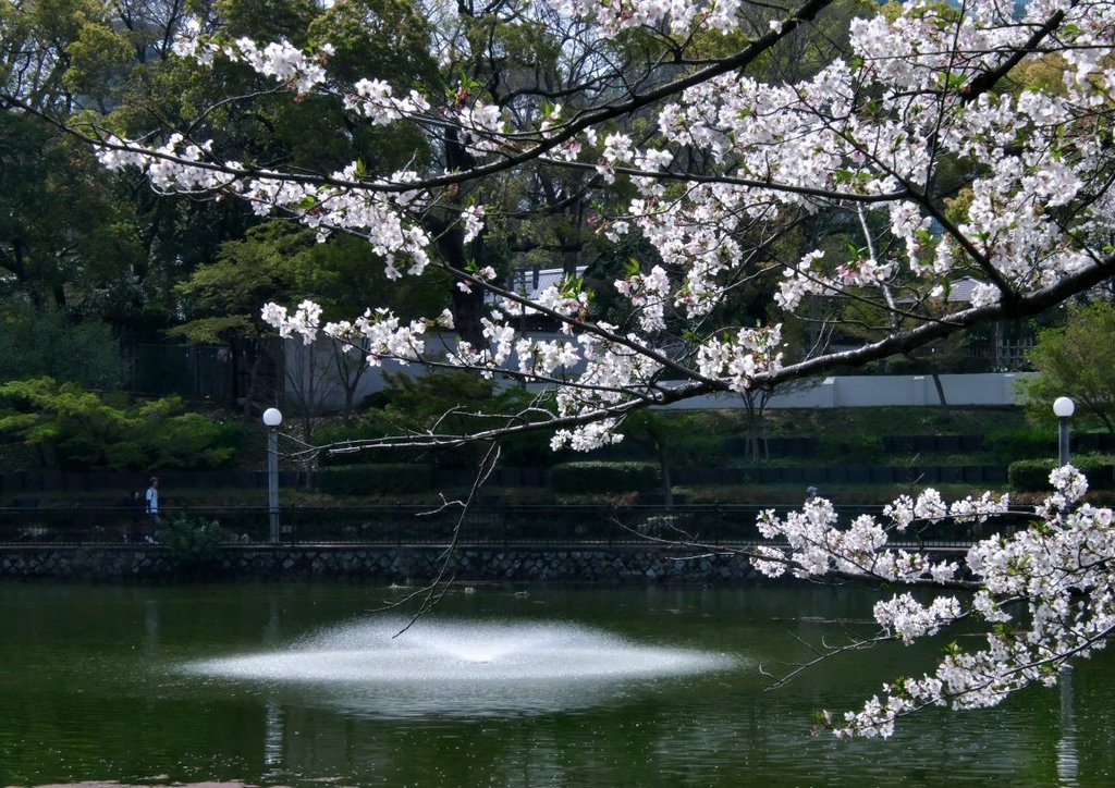 一寸帽子 tweet media