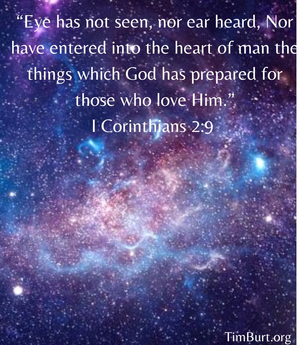 Timothy Burt tweet media