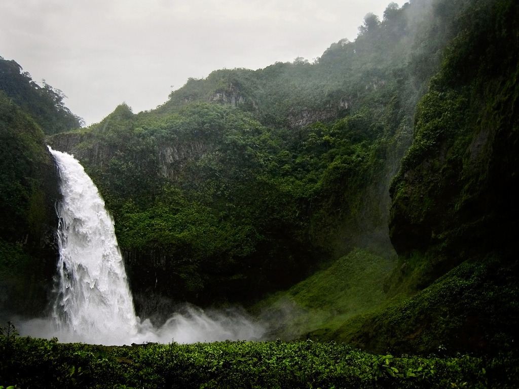 Mi Psychologist™ tweet media