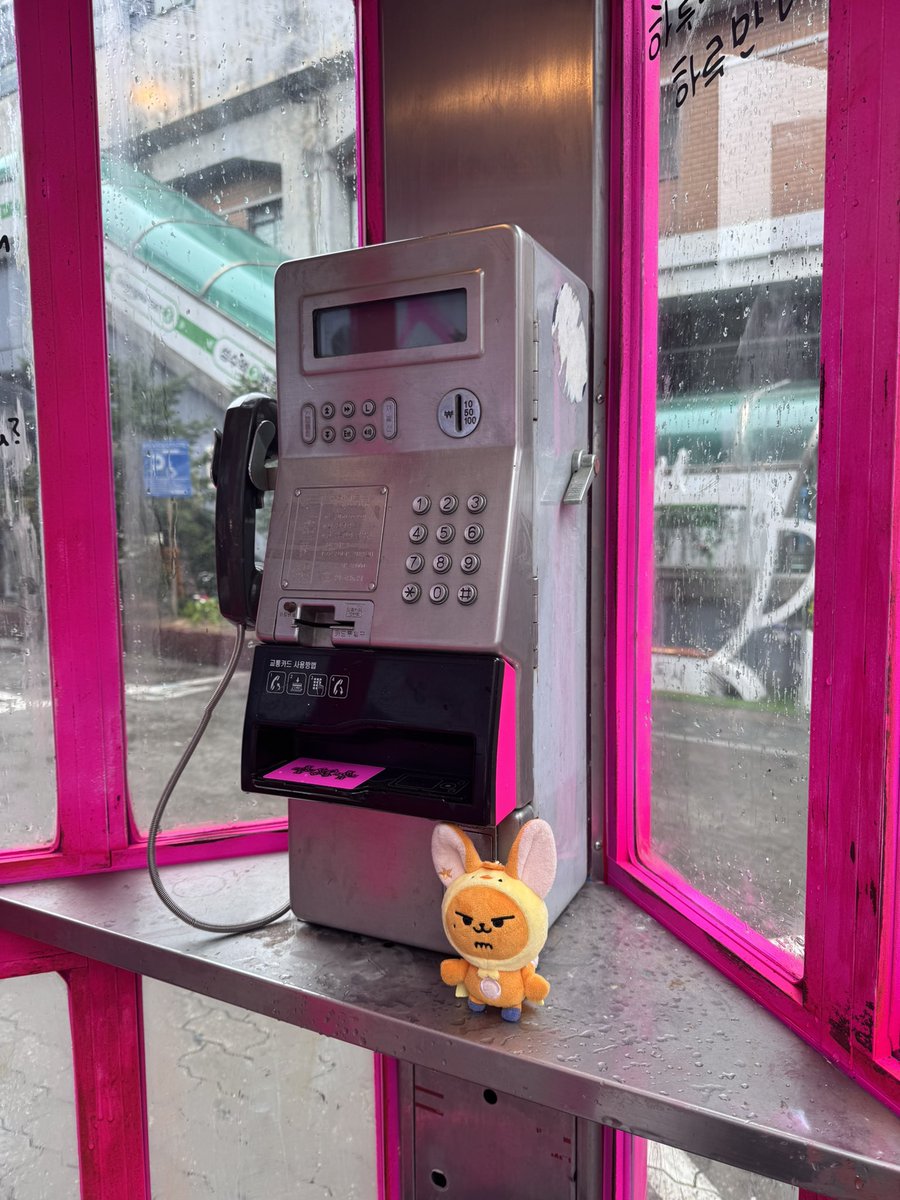 어키 • okky tweet media