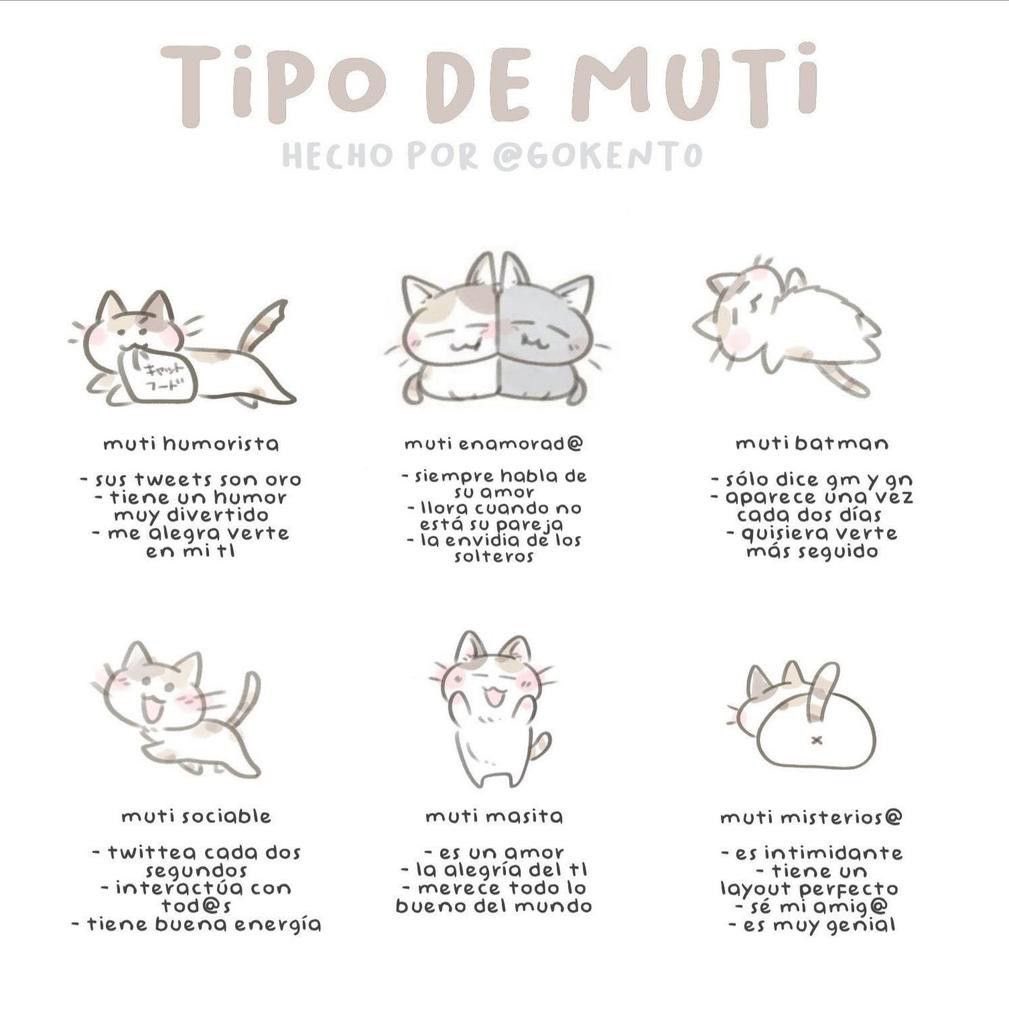 rafita7 | ENHYPEN IS 7 tweet media