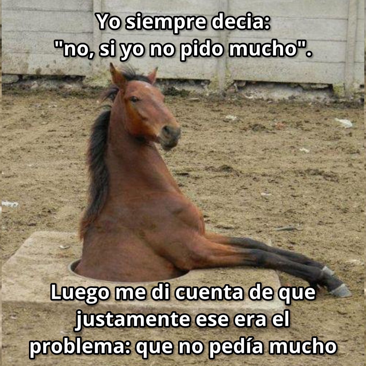 Exactamente.