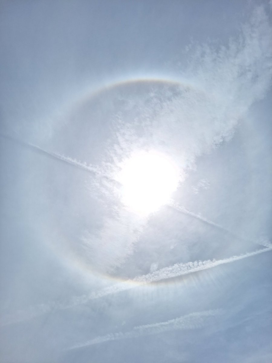 コテ母 tweet media