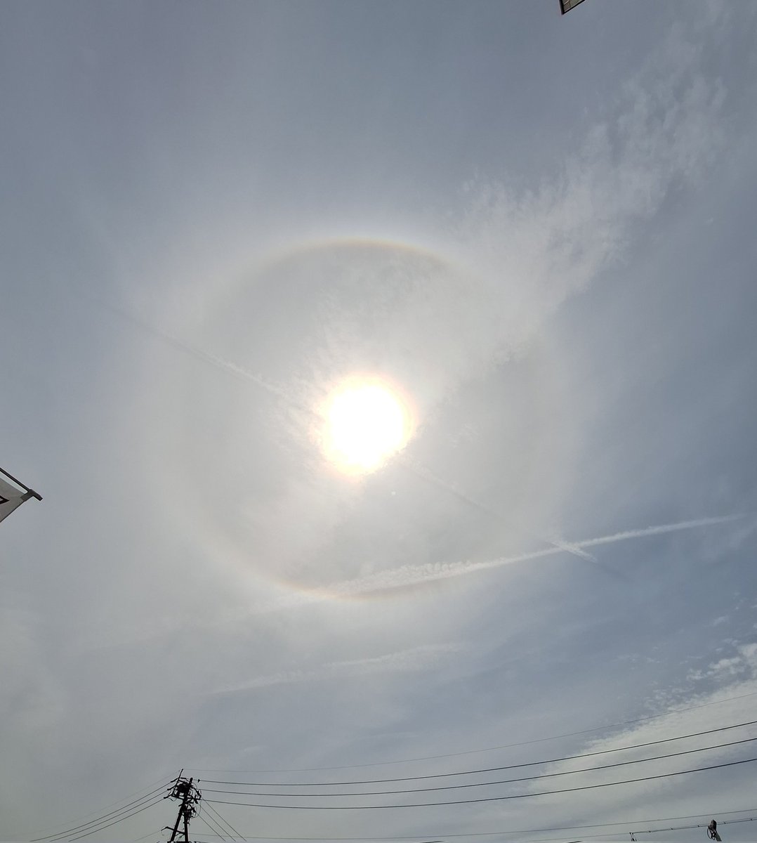 コテ母 tweet media