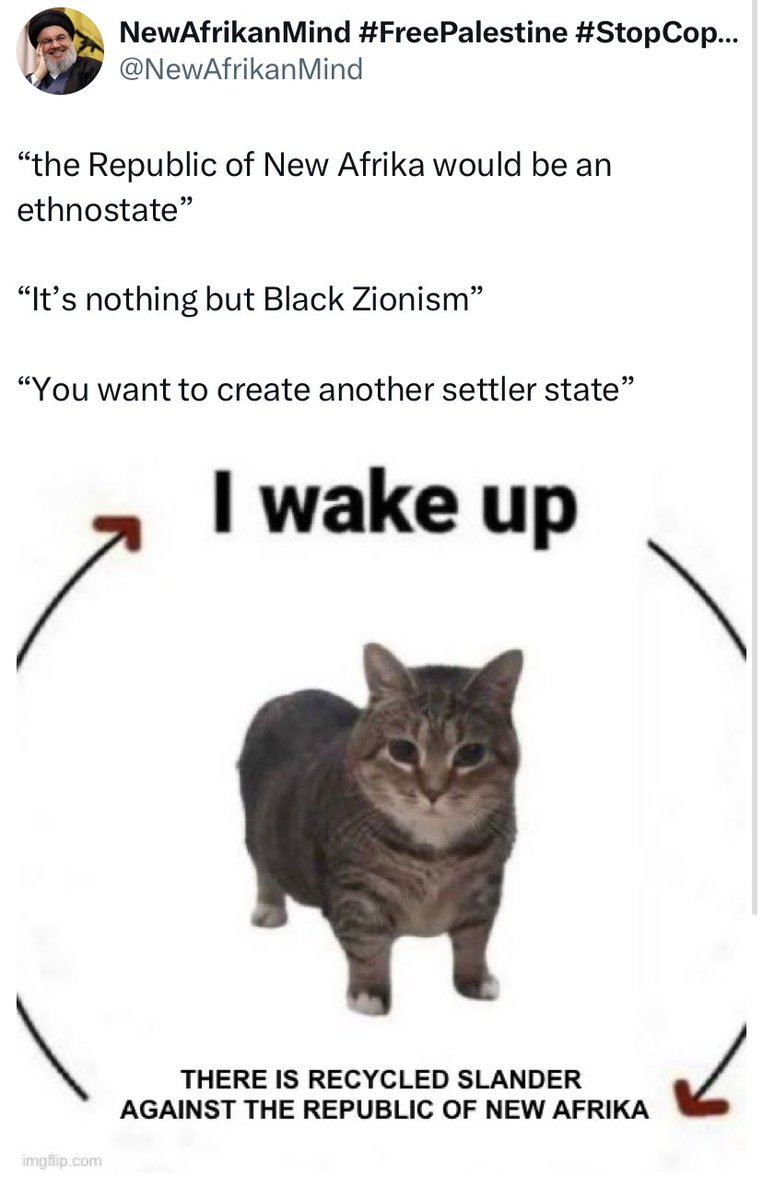 NewAfrikanMind tweet media