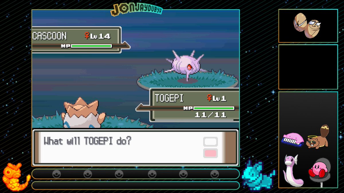 45 EGGS?!?!