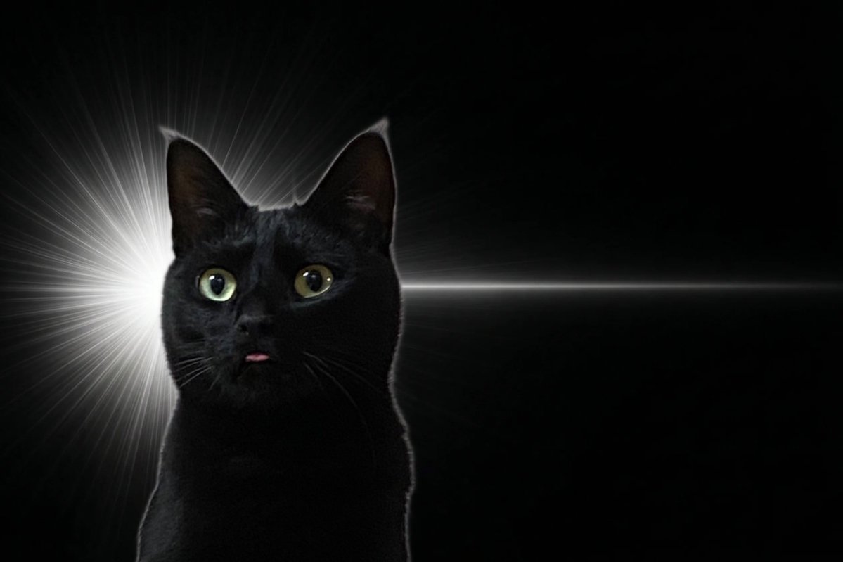 𝕞𝕒𝕣𝕞𝕚 tweet media