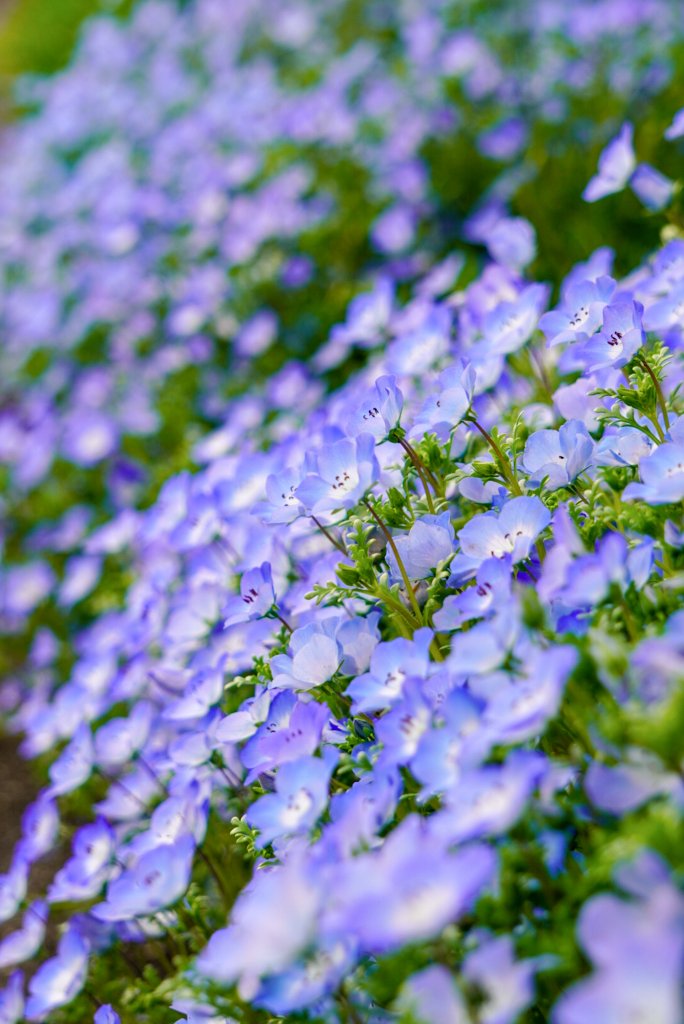 さとみん✿︎ tweet media