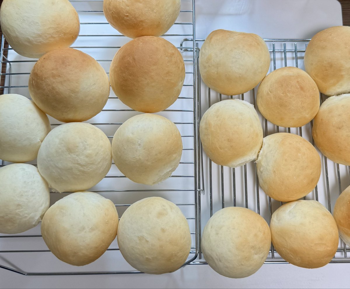 マクスウェル💹孤独丸のお地蔵戦略🙏 tweet media