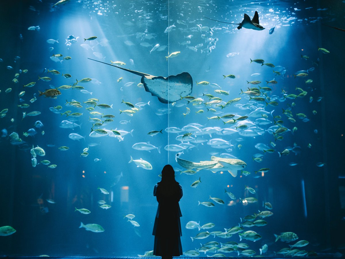 葉山 / hayama tweet media