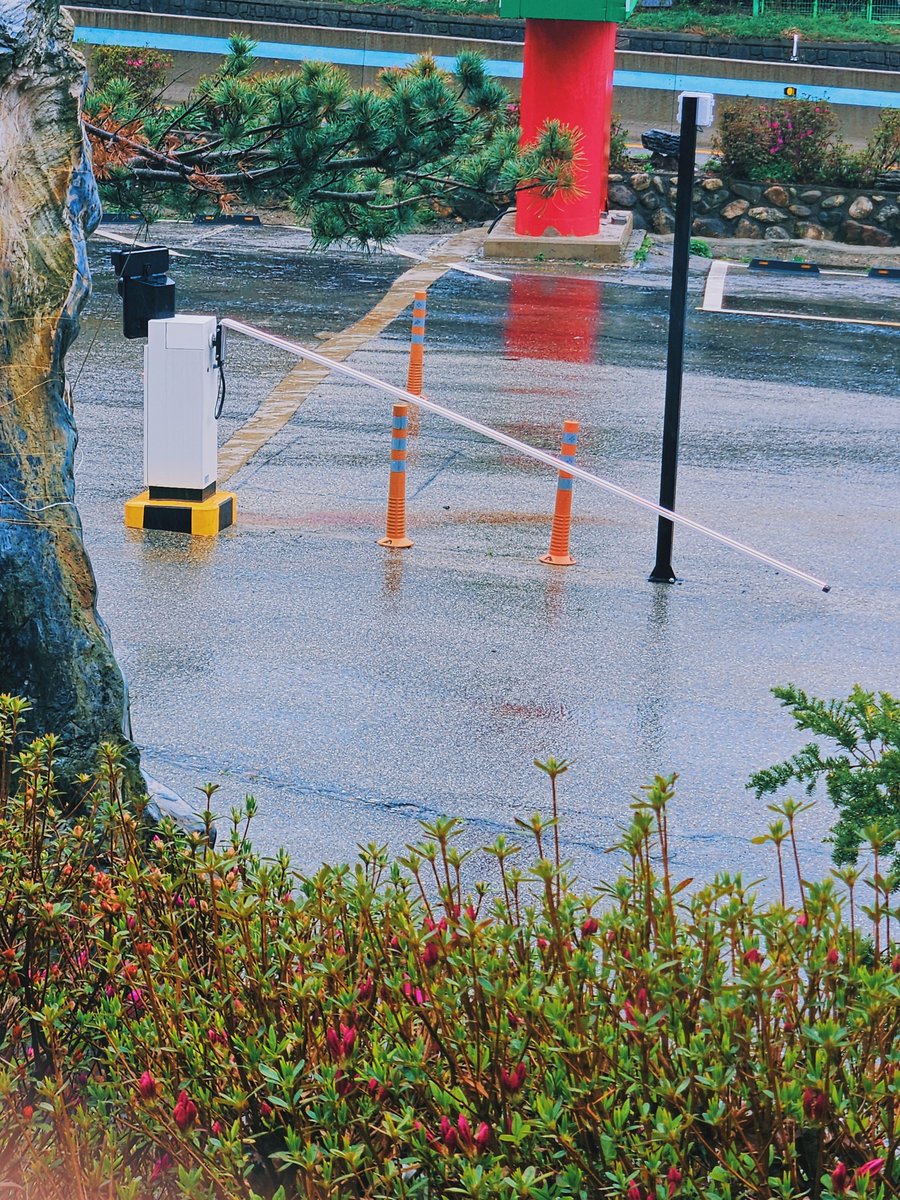 세원/Hyil284 tweet media