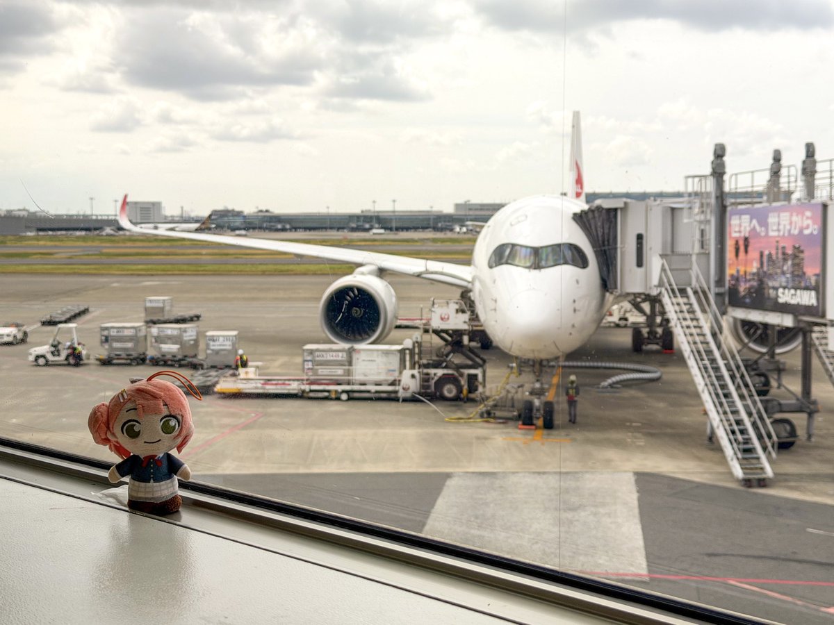 ゆうひちゃん tweet media