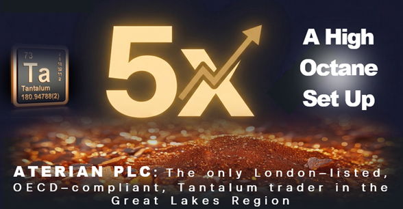 Serial Investor tweet media