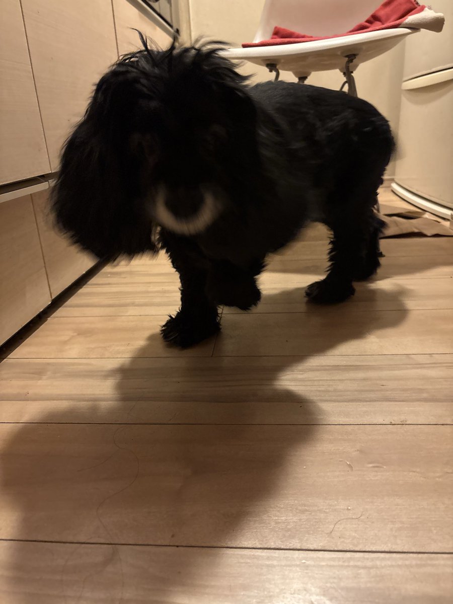 Kuro&Nana tweet media