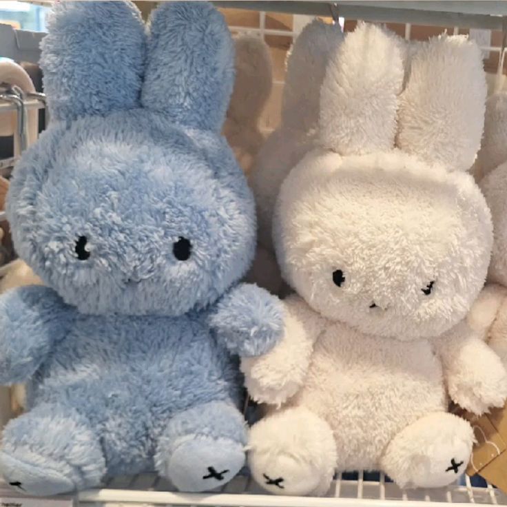 cy 🧸 | let's be moots tweet media