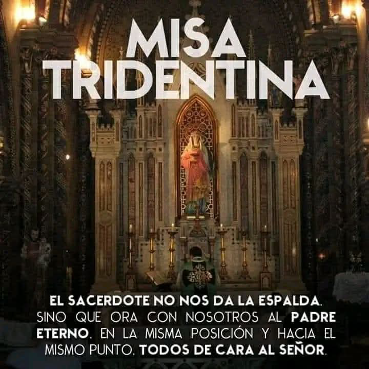 Luis61053512's tweet photo. LA MISA TRIDENTINA

El sacerdote no nos da la espalda sino que ora con nosotros al Padre Eterno. En la misma posición y hacia el mismo punto. TODOS DE CARA AL SEÑOR. https://t.co/BE3ku6WxLs