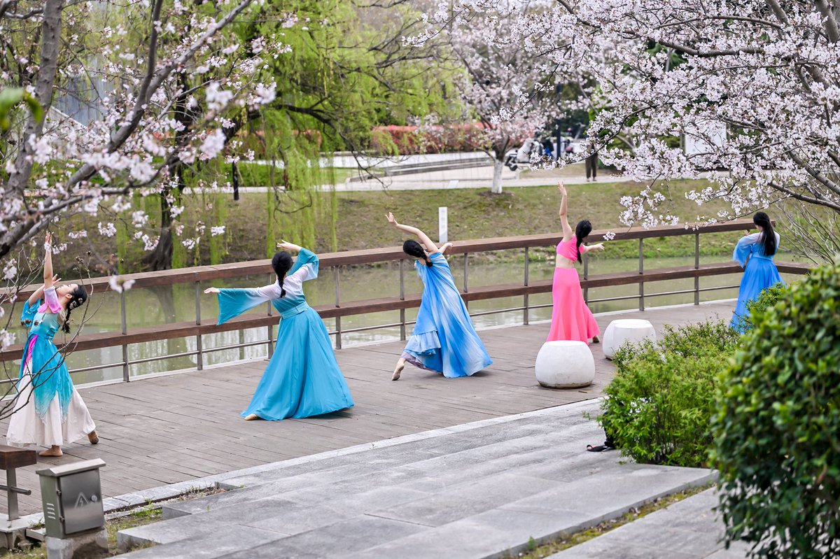 ECNUER's tweet photo. A folk culture festival was held at the Cherry Blossom Path on Minhang Campus. More than 20 student clubs gathered to present a wonderful folk culture experience for teachers and students. 🌸#ECNU https://t.co/arxq6uIVIQ