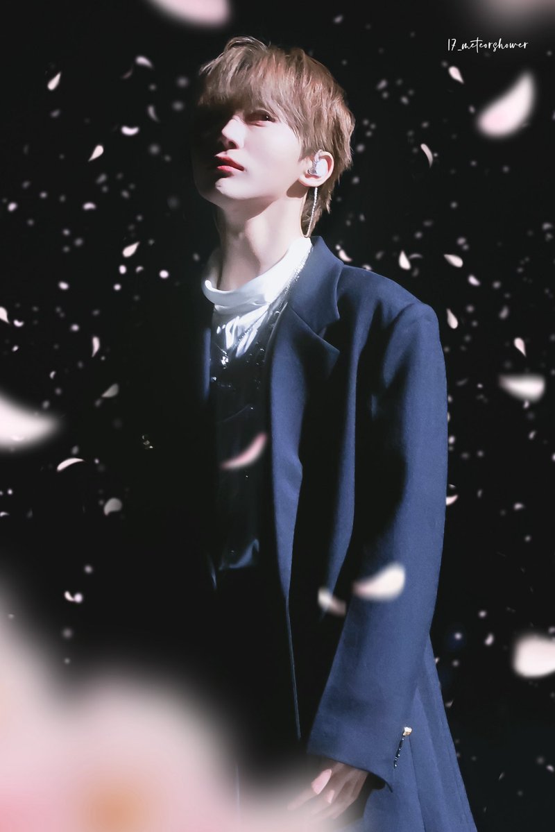 17_meteorshower tweet media