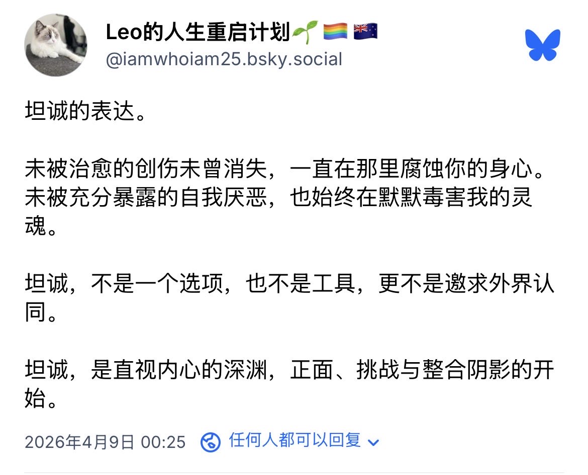 理昂在纽村🤾🏻🏳️‍🌈🇳🇿 tweet media