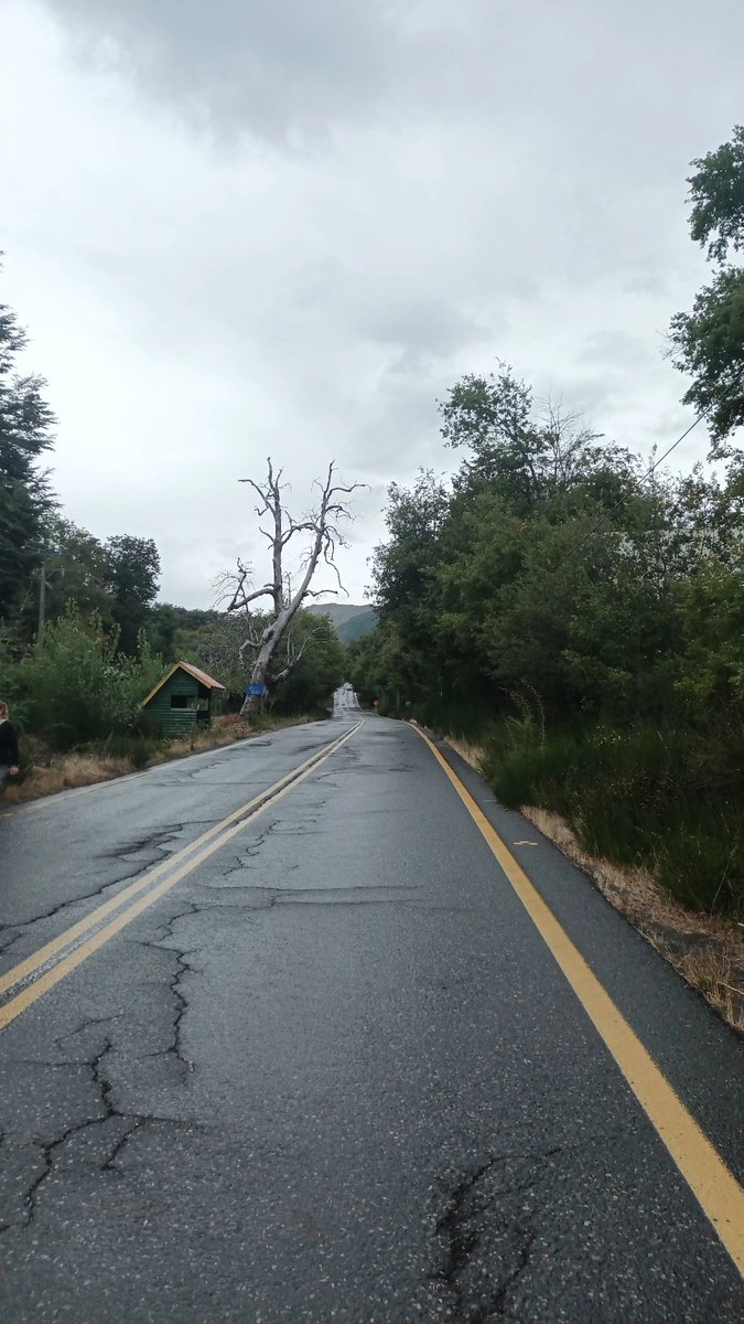 《¡!°Møømøø.rax69°¡!》 tweet media