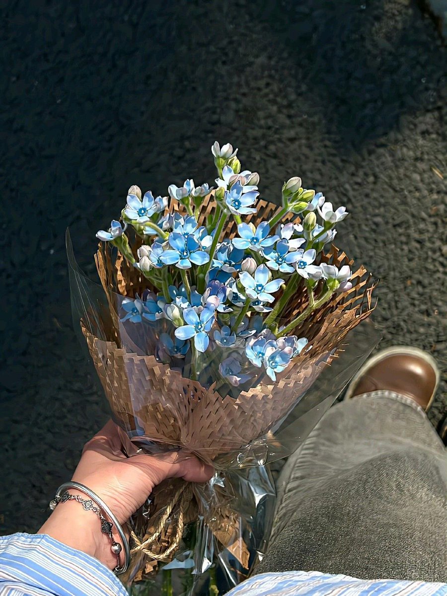 Bloomify tweet media