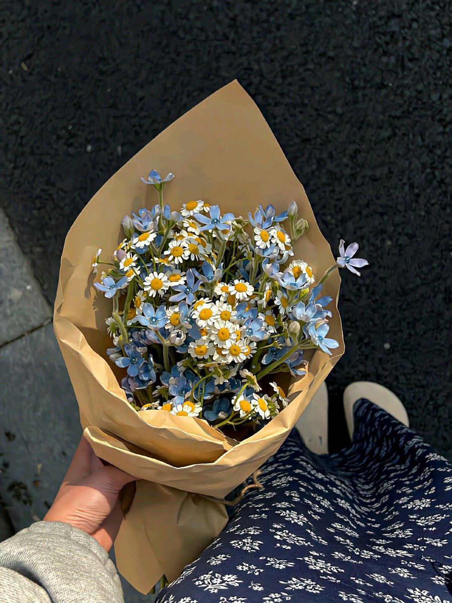 Bloomify tweet media