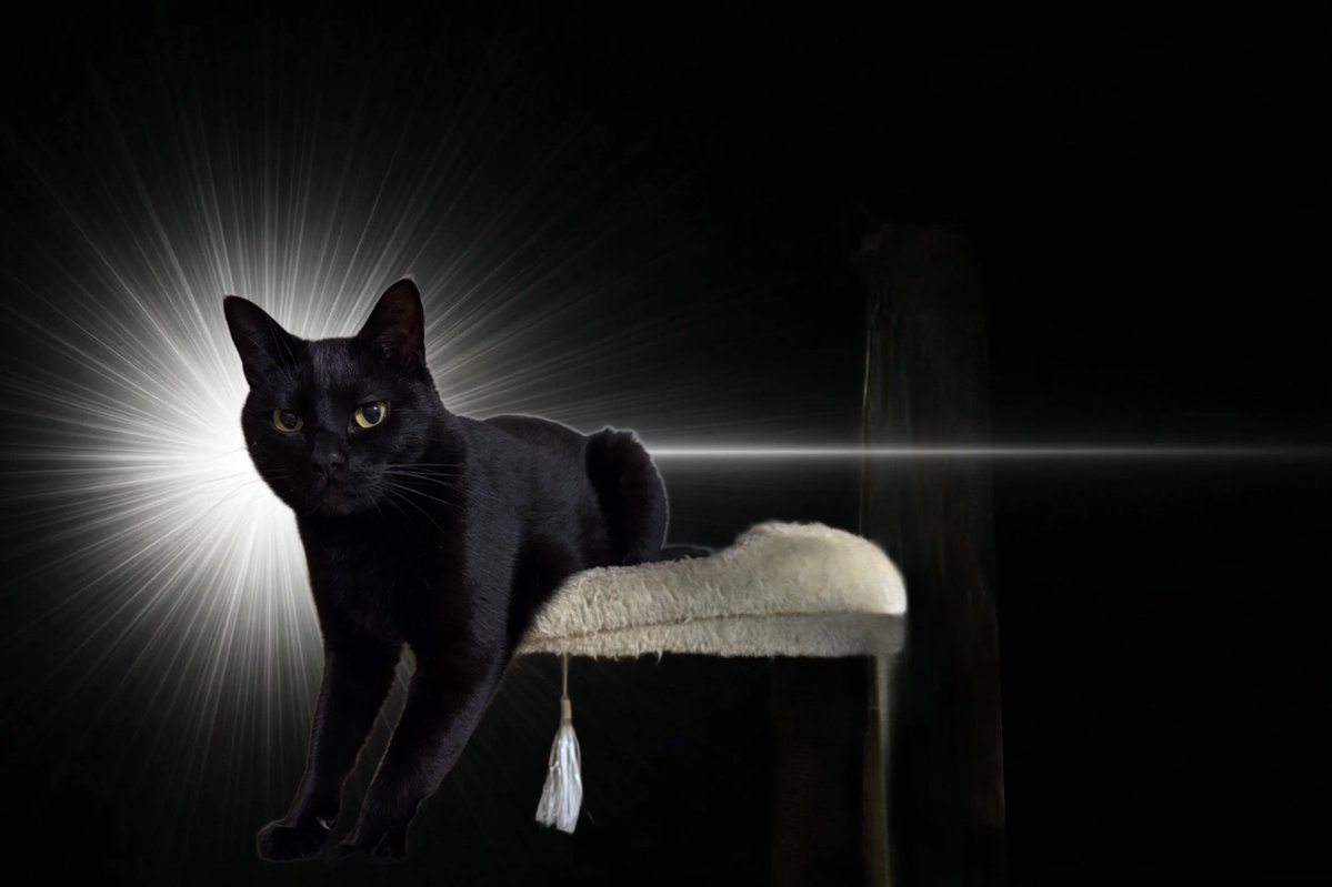 𝕞𝕒𝕣𝕞𝕚 tweet media