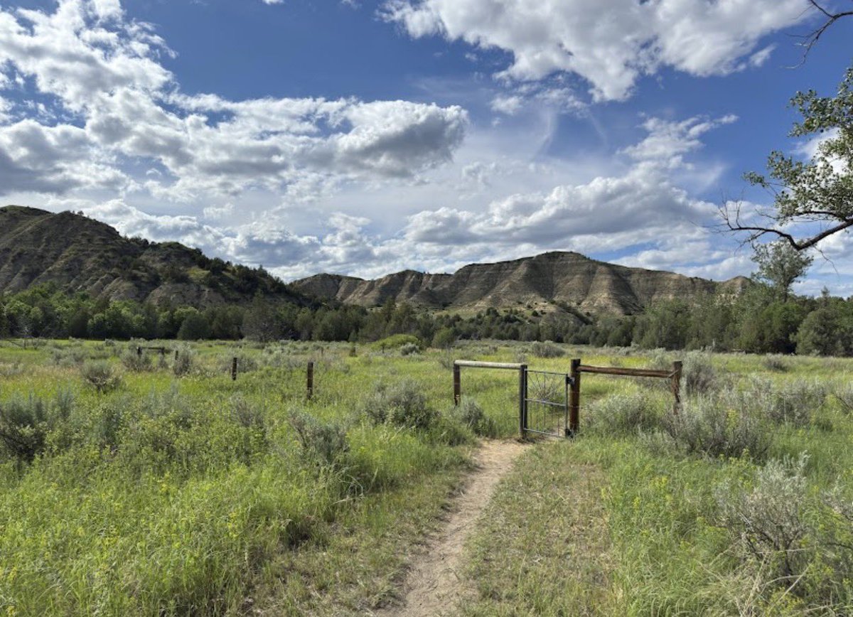 KC NoDak Brim 🇺🇸 tweet media