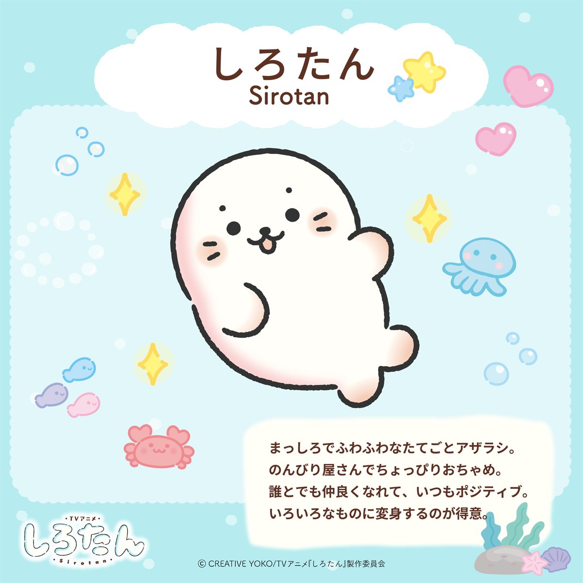 TVアニメ『しろたん』 tweet media