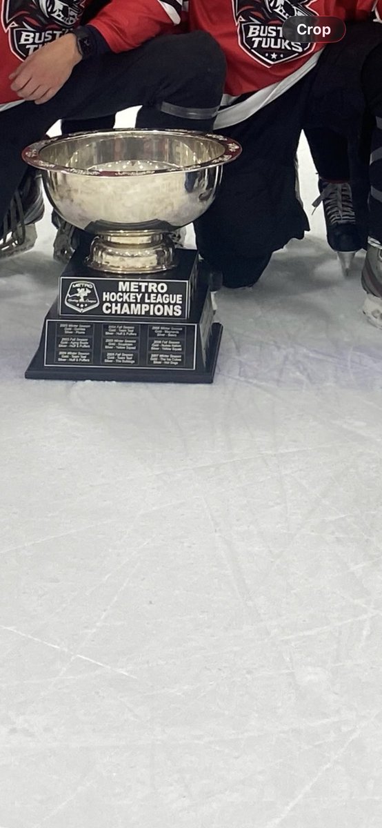 MN Hockey Dog tweet media