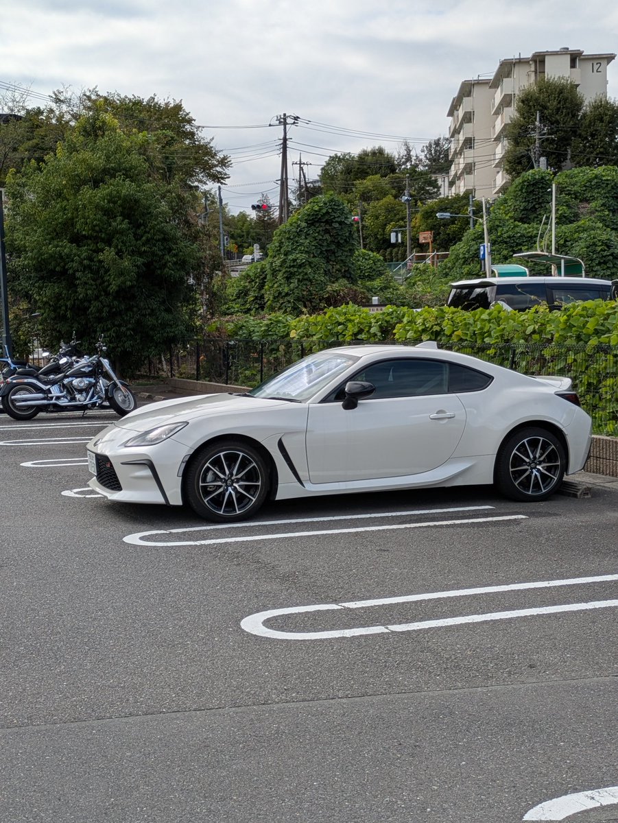 Meg Chang tweet media