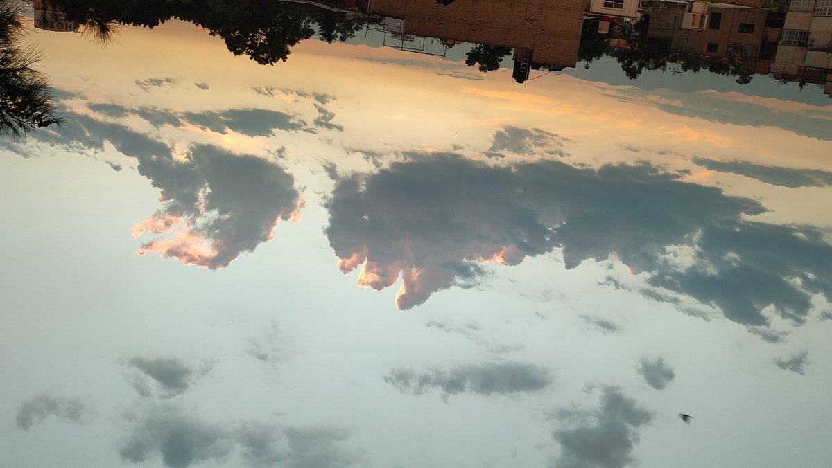 papi de marcelo y tlalli 🌋🇵🇸 tweet media