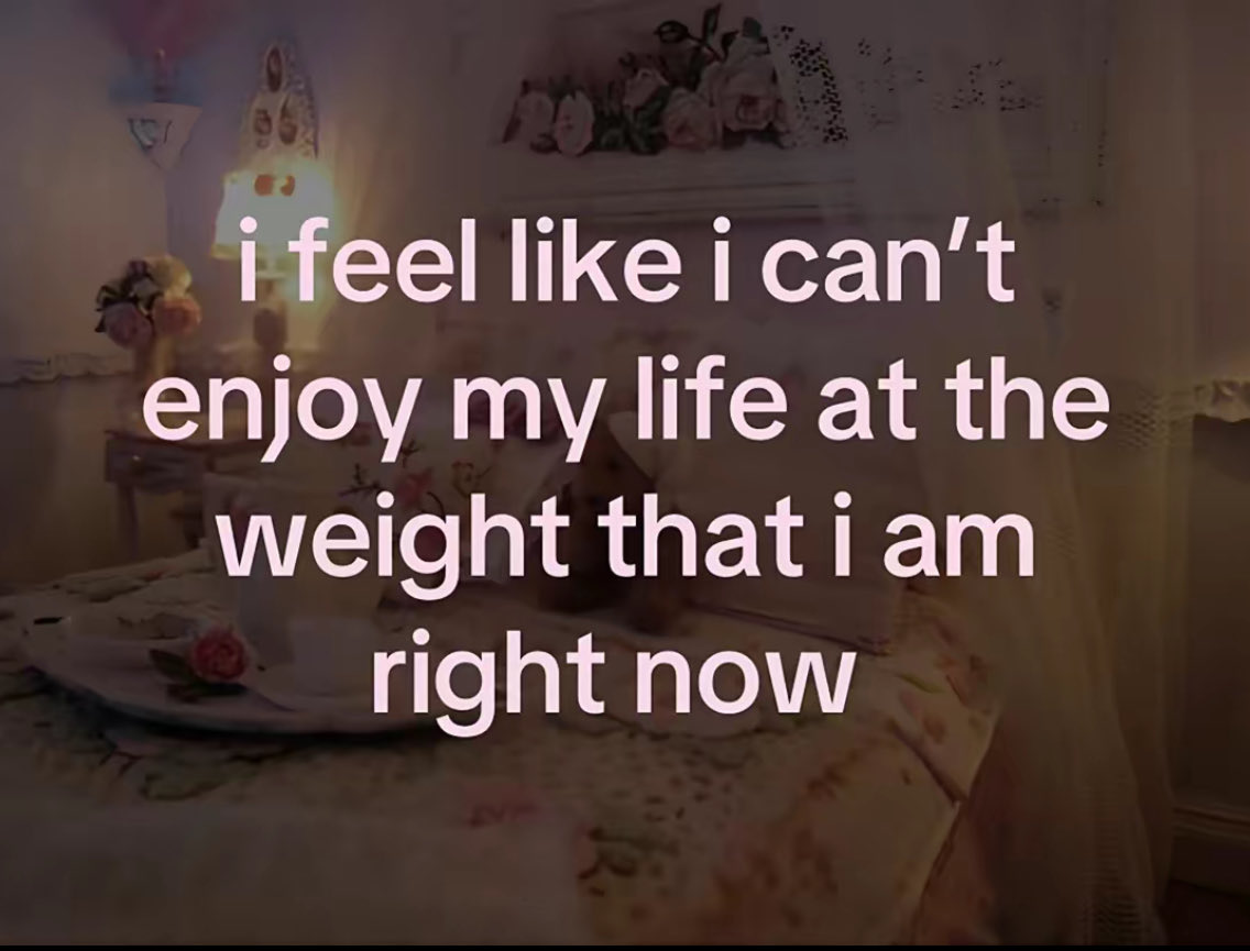 promise 🪽 tweet media