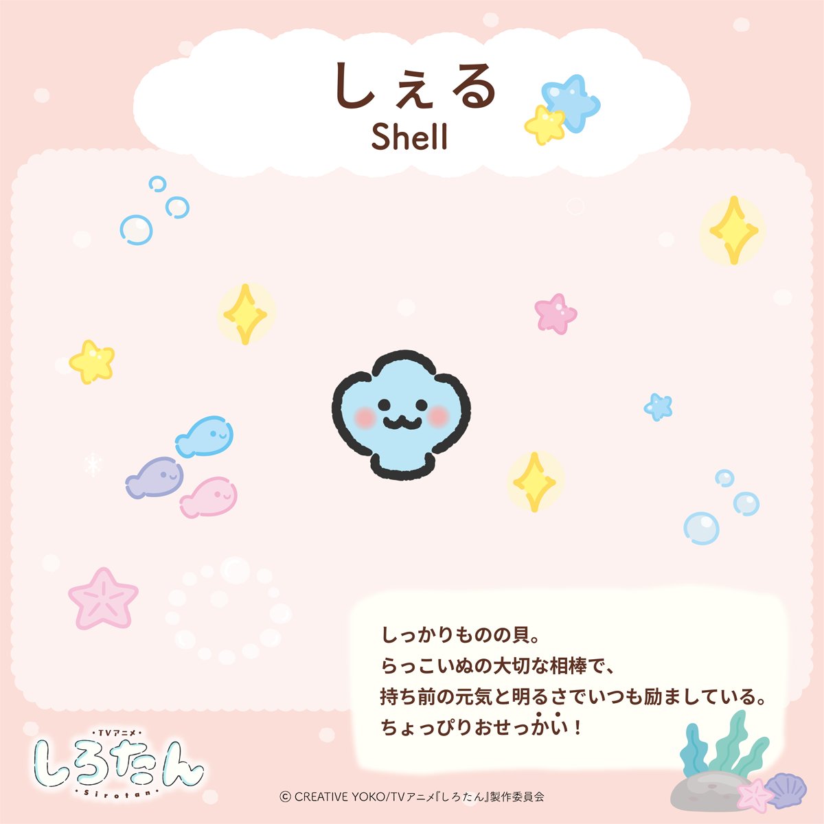 TVアニメ『しろたん』 tweet media