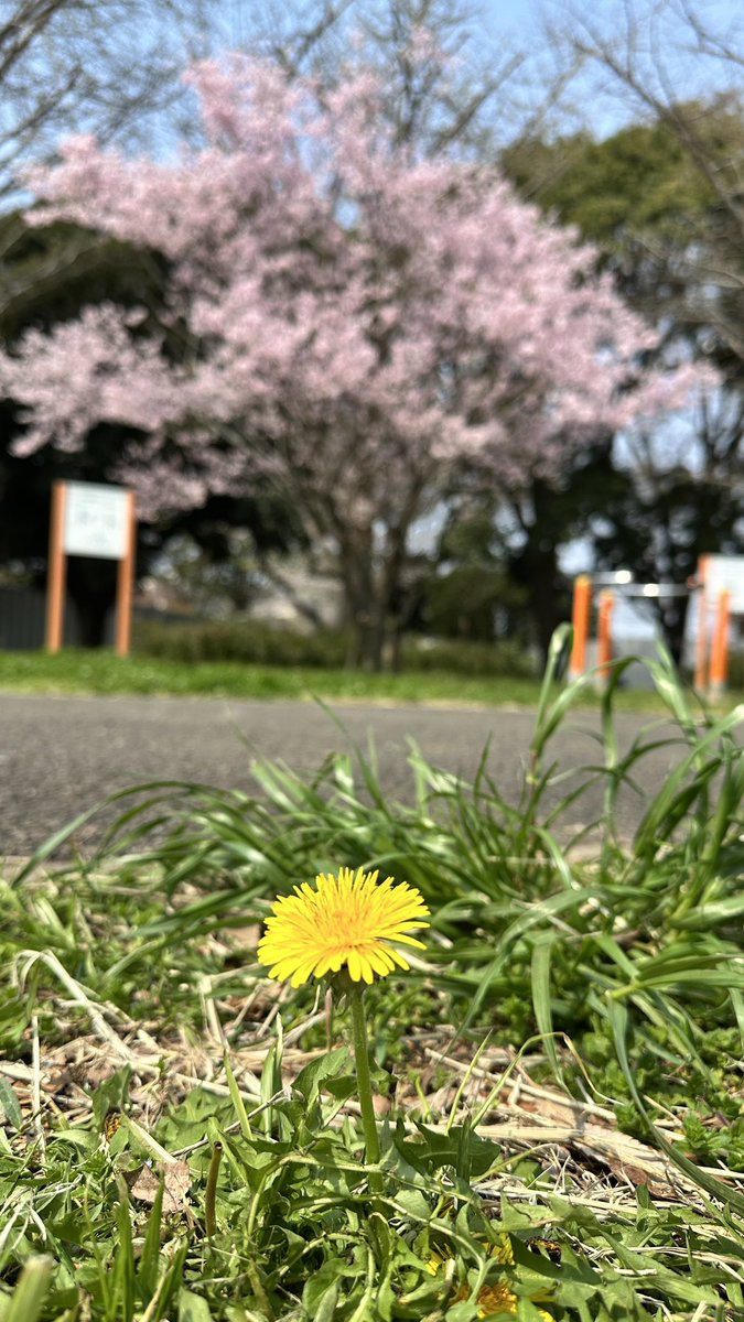 flumpool 山村隆太 tweet media