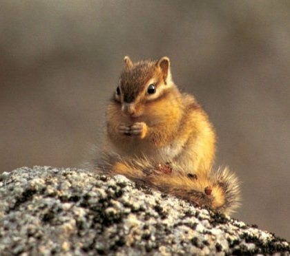 ํ๐ธ tweet media