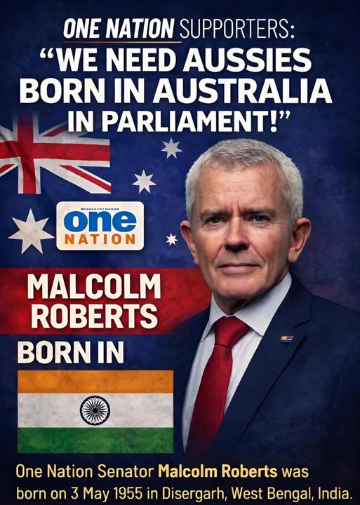 Aussie Forest 🇦🇺 tweet media