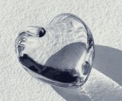 أحمد الحربي tweet media