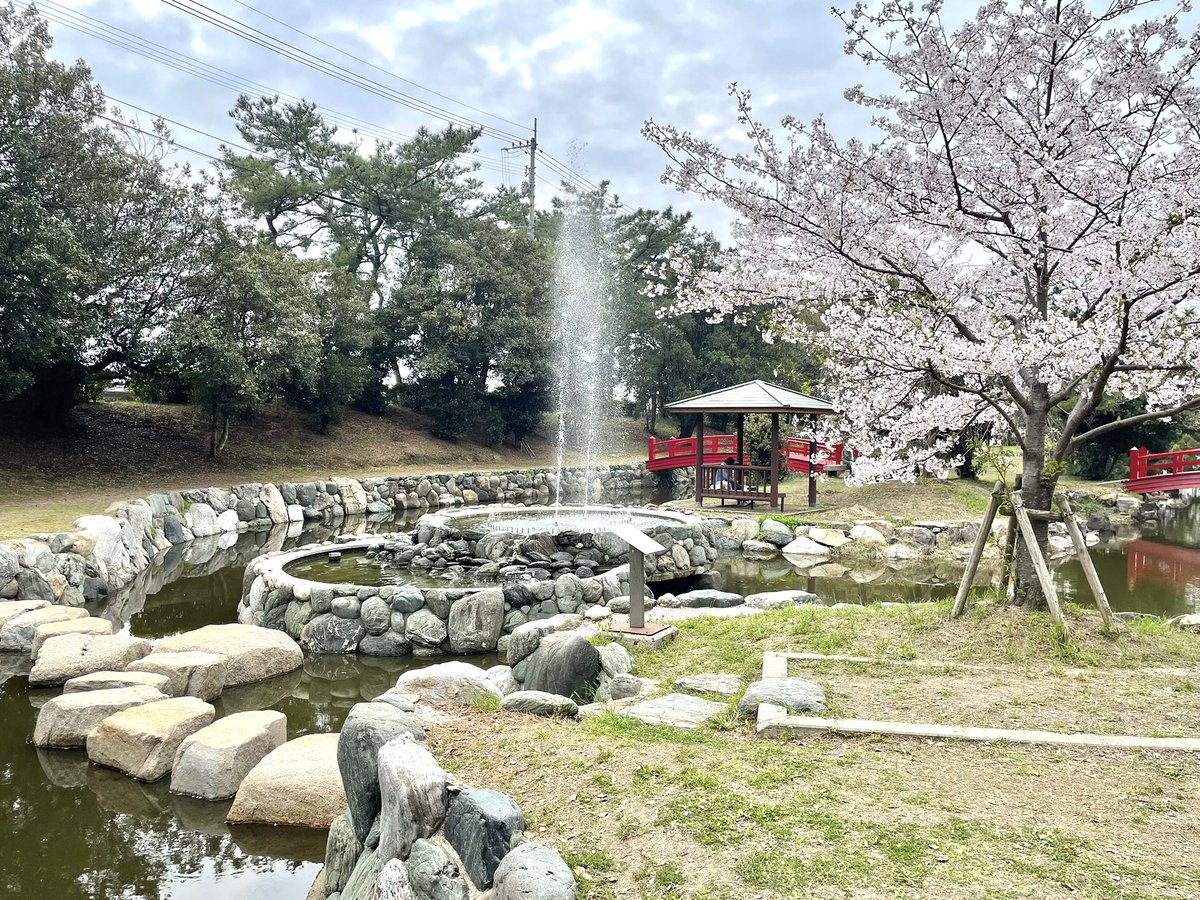 十六夜つく@ゾンサガライブ4/5参戦 tweet media