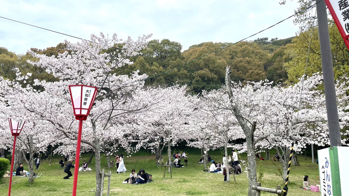 十六夜つく@ゾンサガライブ4/5参戦 tweet media