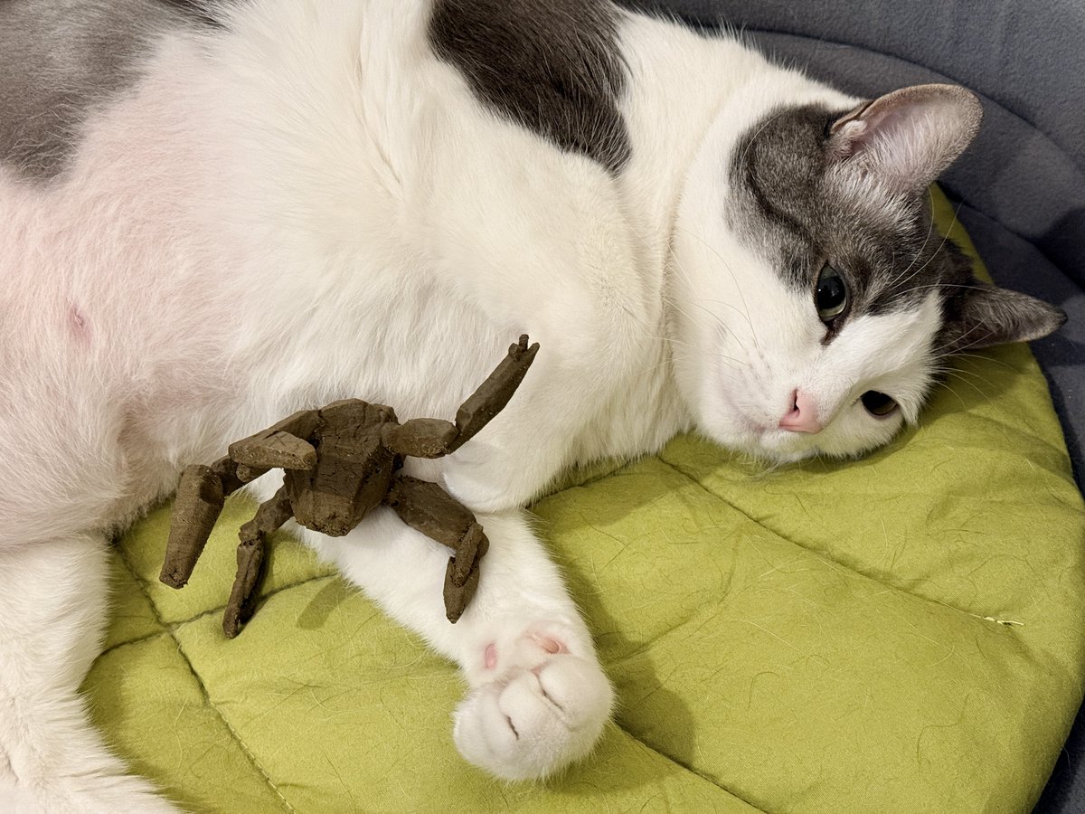 샷🫶🏼 tweet media