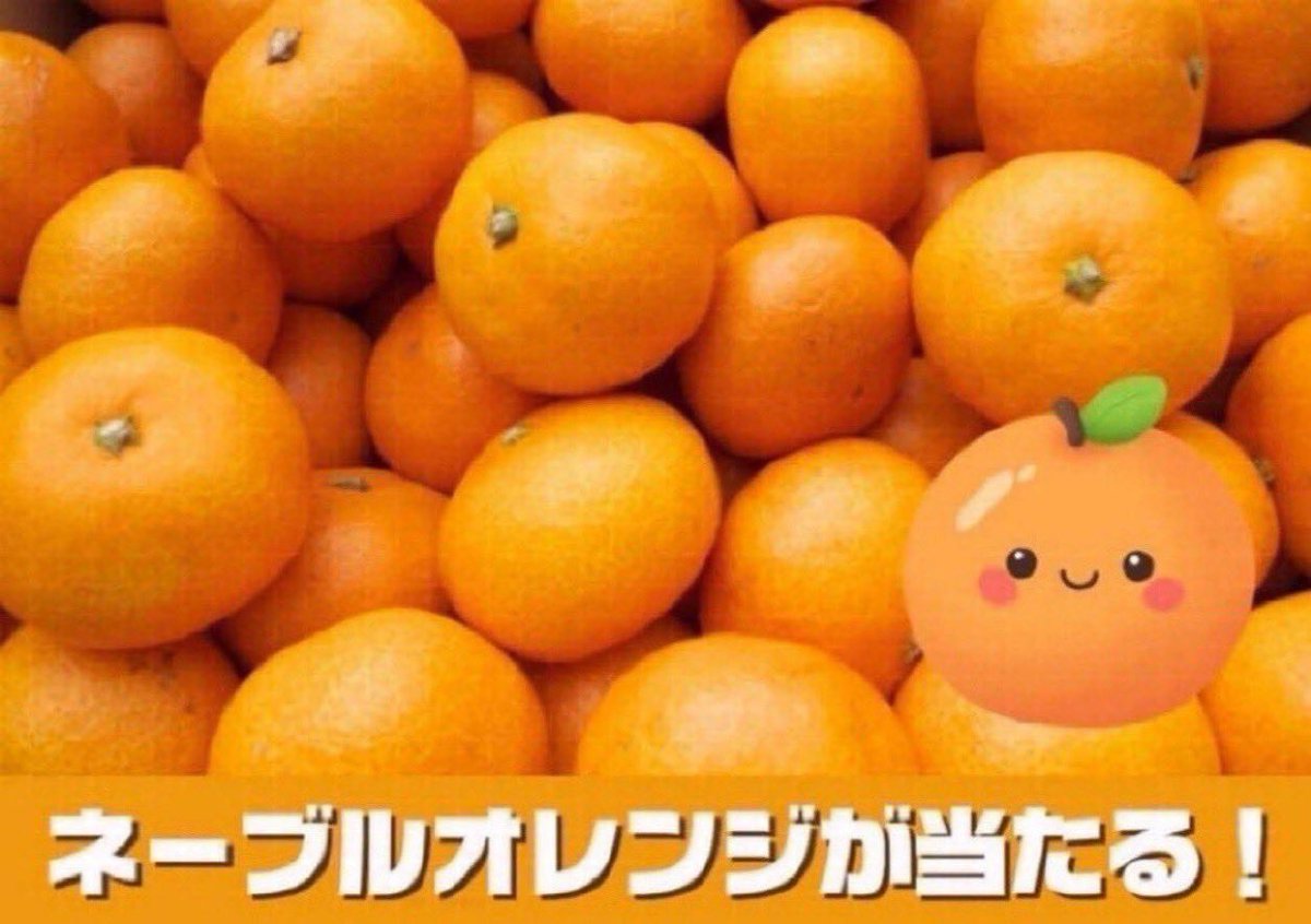 こだわり王国 公式 tweet media