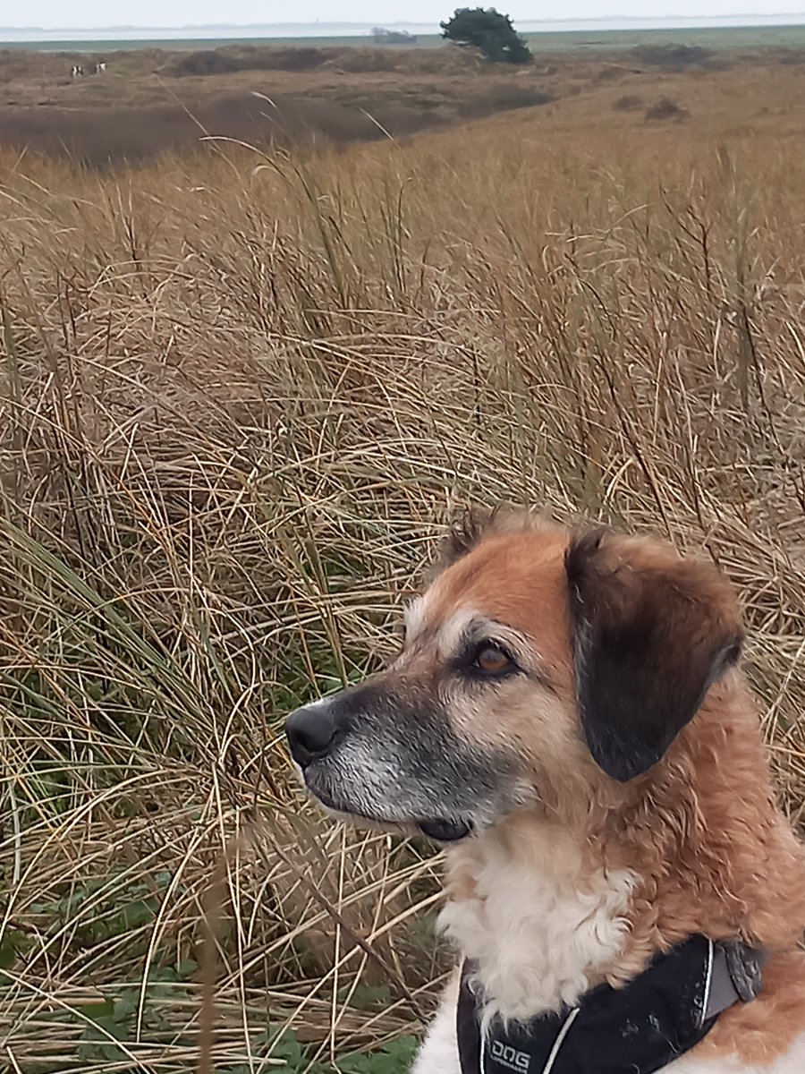 Miriam Beute tweet media