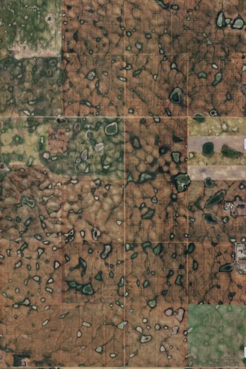 Allen Gorerythmic tweet media