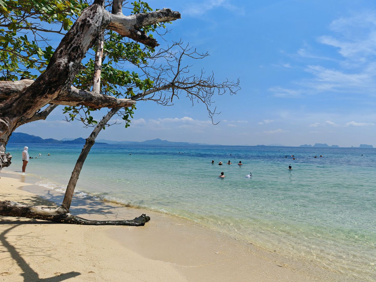 PantipTravel's tweet image. แบกเป้ไปนอนเกาะกระดาน... ฉบับผู้หญิงคนเดียวก็เที่ยวได้ 🏝🌊

📌 pantip.com/s/tnbMC

#บลูแพลนเที่ยว #บลูแพลนเน็ต #Blueplanet #เกาะกระดาน #เที่ยวเกาะ #ทะเลอันดามัน #ตรัง #เที่ยวไทย