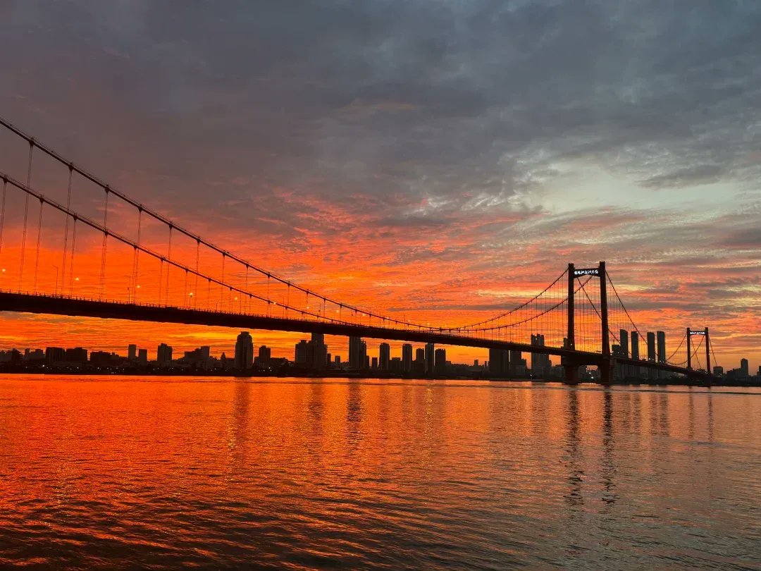 Beto Canals tweet media