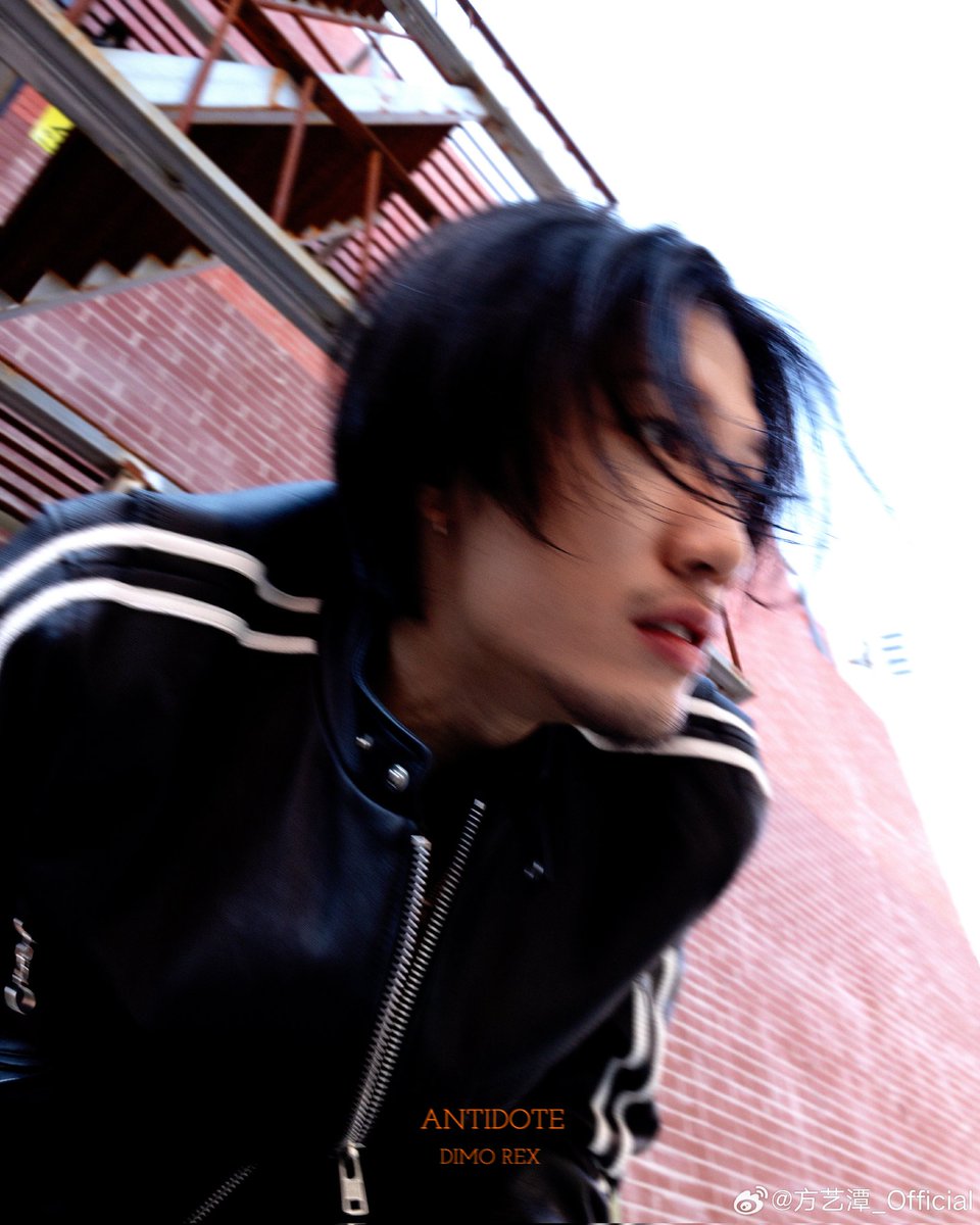 All About DIMO REX 🪩 tweet media